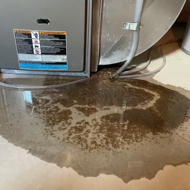 Appliance Leak Cleanup in Clinton, MO